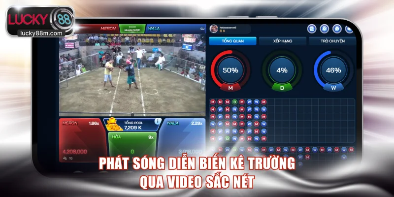 Phát sóng diễn biến kê trường qua video sắc nét